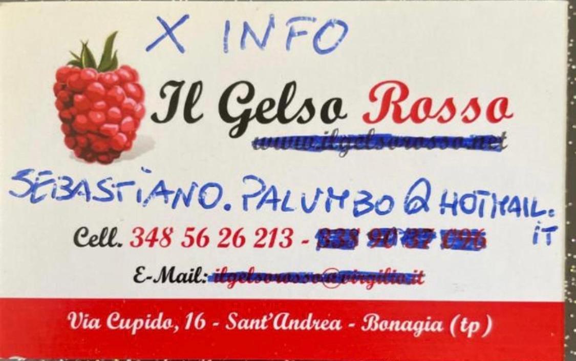 Casa Vacanze Il Gelso Rosso Villa Valderice Kültér fotó